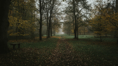 Rambouillet-Automne-46