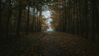 Rambouillet-Automne-43
