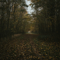 Rambouillet-Automne-42