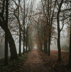 Rambouillet-Automne-4