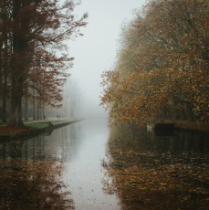 Rambouillet-Automne-55