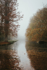 Rambouillet-Automne-56