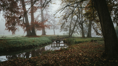 Rambouillet-Automne-36