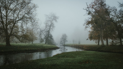 Rambouillet-Automne-18