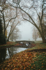 Rambouillet-Automne-16