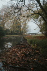 Rambouillet-Automne-14