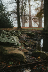Rambouillet-Automne-12