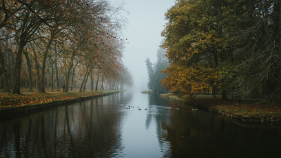 Rambouillet-Automne-50
