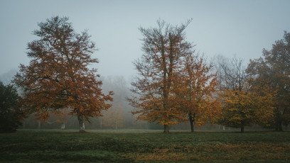 Rambouillet-Automne-2