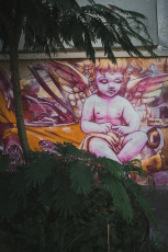 20250703 - Butte aux Cailles-81