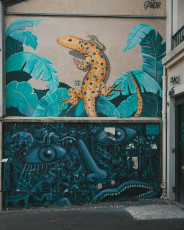 20250703 - Butte aux Cailles-82