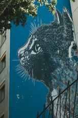 20250703 - Butte aux Cailles-124