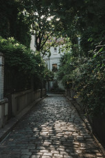 20250703 - Butte aux Cailles-17