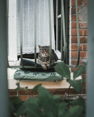 20250703 - Butte aux Cailles-49