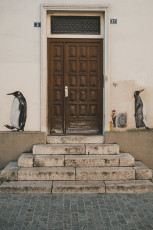 20250703 - Butte aux Cailles-9