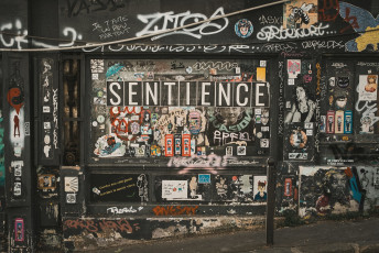 20250703 - Butte aux Cailles-90