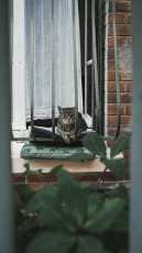 20250703 - Butte aux Cailles-48