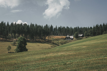 202508 - Foret Noire -93