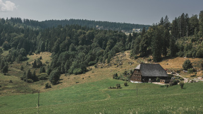 202508 - Foret Noire -101