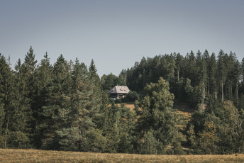 202508 - Foret Noire -80