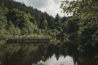 202508 - Foret Noire -104