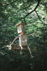 202508 - Foret Noire -43