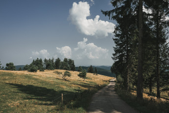 202508 - Foret Noire -90