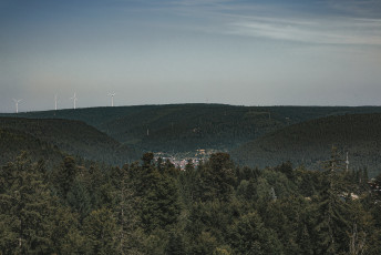 202508 - Foret Noire -45