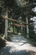 202508 - Foret Noire -31