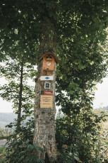 202508 - Foret Noire -99