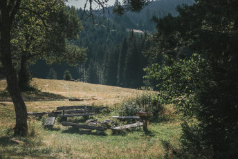 202508 - Foret Noire -81