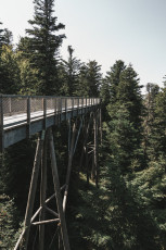 202508 - Foret Noire -35