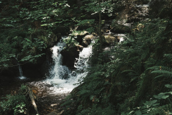 202508 - Foret Noire -105