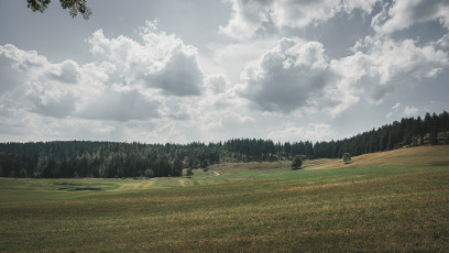 202508 - Foret Noire -92