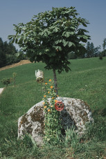 202508 - Foret Noire -100