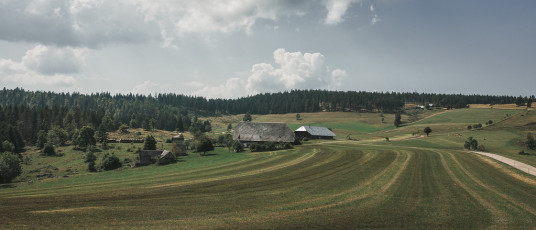 202508 - Foret Noire -95