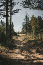 202508 - Foret Noire -82