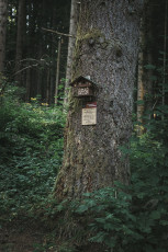 202508 - Foret Noire -75