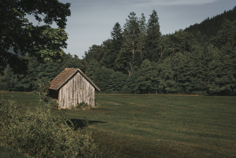 202508 - Foret Noire -56