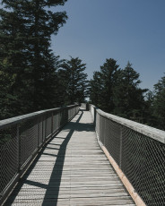 202508 - Foret Noire -36