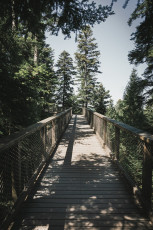 202508 - Foret Noire -32