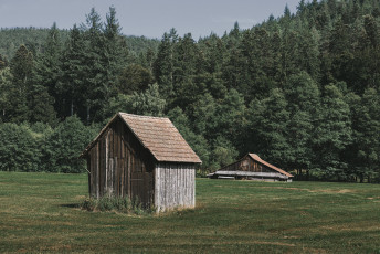 202508 - Foret Noire -54