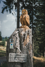 202508 - Foret Noire -89