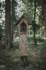 202508 - Foret Noire -85