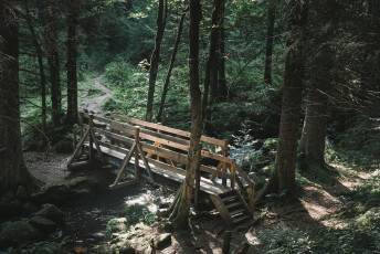 202508 - Foret Noire -77