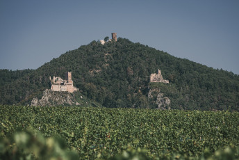 202508 - Alsace -127