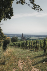 202508 - Alsace -121