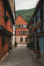 202508 - Alsace -131