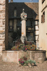 202508 - Alsace -117