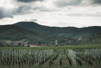 202508 - Alsace -137